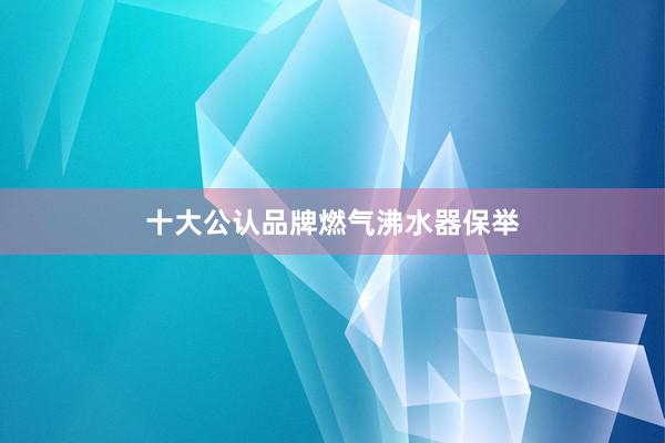 十大公认品牌燃气沸水器保举